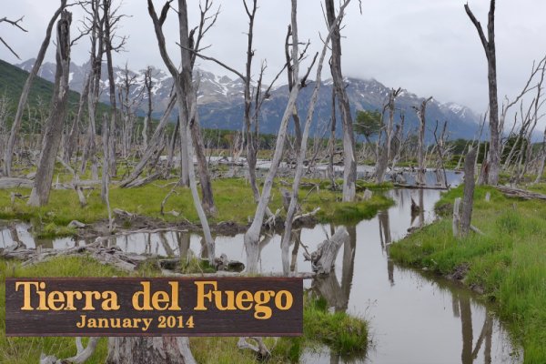 Tierra del Fuego, January 2014